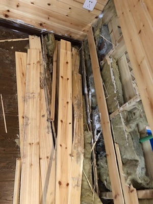 住宅裝修木材白蟻預防的重要性