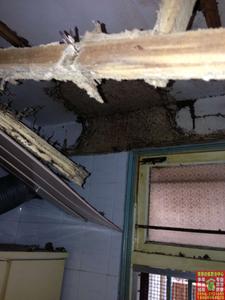 市区小区一户家庭厨房吊顶里的白蚁巢
