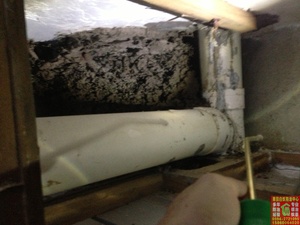 卫生间吊顶里的白蚁巢