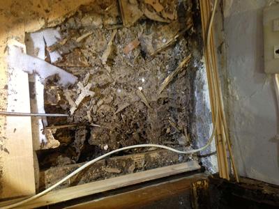 莆田市普遍家庭木地板被白蚁啃食后的现状